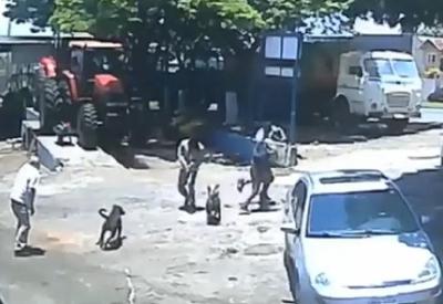 Vídeo: cães colocam ladrões para correr durante assalto no Paraná
