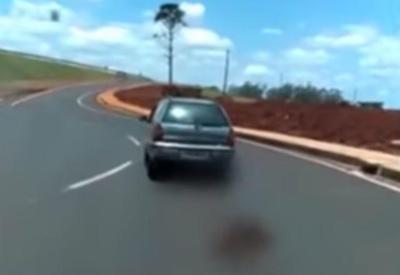 Vídeo: cão é arrastado por carro em rodovia de Londrina