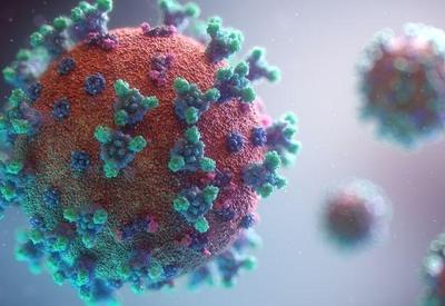 Pará registra 1º caso da variante delta do coronavírus