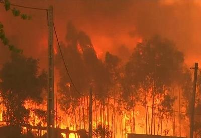 Incêndios florestais seguem devastando o Chile