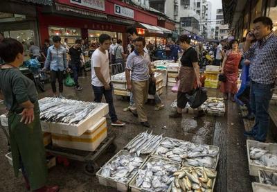 China recebe peixe com Covid-19 do Brasil e suspende importação