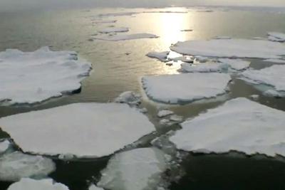 Cientistas monitoram o que pode ser maior iceberg da história