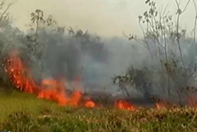 Clima seco favorece a propagação de queimadas na floresta amazônica