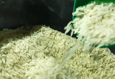 Governo realiza leilão para compra de arroz na próxima semana
