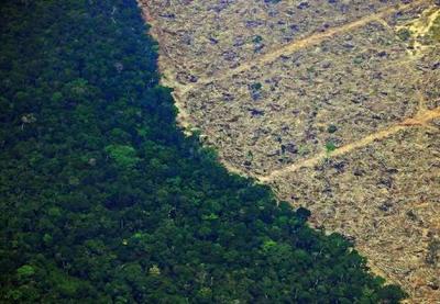 Coordenadora do Inpe é exonerada após recorde de alertas de desmatamento na Amazônia