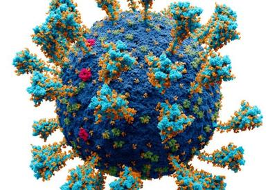 OMS classifica nova cepa da covid-19 como "variante de preocupação"