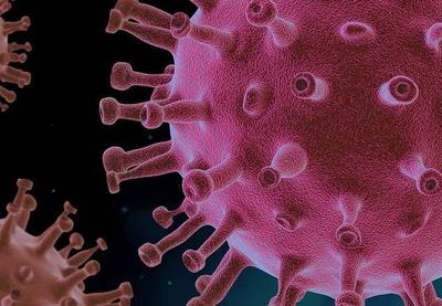 Covid-19: anti-inflamatórios ajudam na recuperação de pacientes