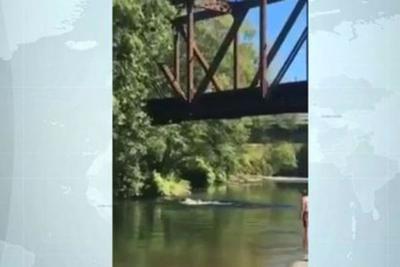 Criança de 4 anos é arremessada de ponte nos Estados Unidos
