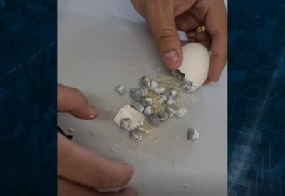 Homens são presos com ovos de galinha recheados de maconha