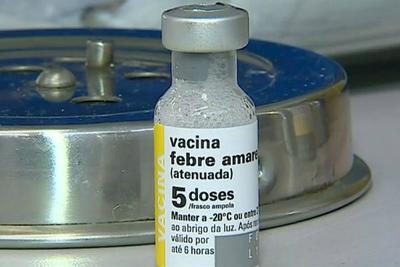 Curitiba confirma primeiro caso de febre amarela desde 2008