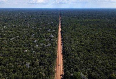Estradas cortam ou se aproximam de 41% da área de floresta na Amazônia