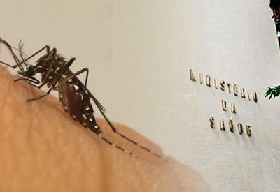 Com recorde histórico de casos e óbitos, dengue matou mais que covid-19 em 2024