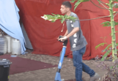 Polícia desmantela esquema de tráfico no centro de Brasília com uso de patinete elétrico