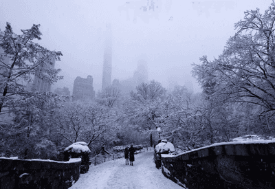 Central Park registra recorde histórico de neve no último domingo (25) 