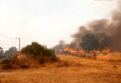 Incêndios florestais na Espanha deixam sete mortos e devastam áreas rurais