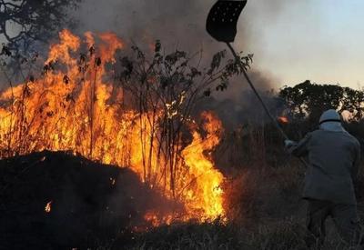 Queimadas mais do que dobram em 2024 e atingem 5,65 milhões de hectares só em agosto, diz MapBiomas