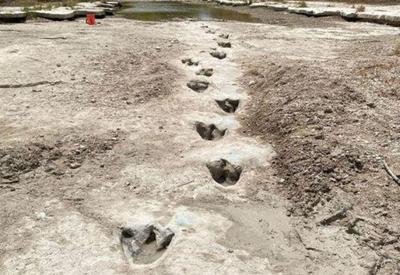 Seca revela pegadas de dinossauros de 113 milhões de anos no Texas