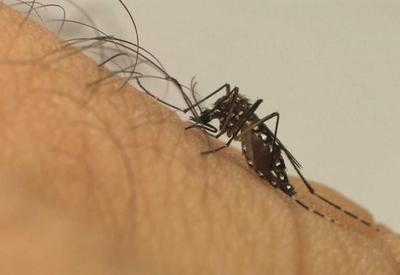 Cerca de 75% dos municípios brasileiros já registram casos de dengue