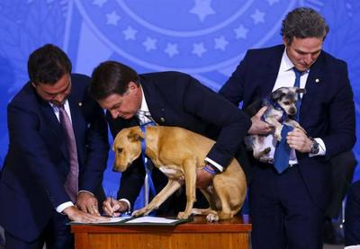 "É uma covardia muito grande maltratar um cachorro", diz Bolsonaro