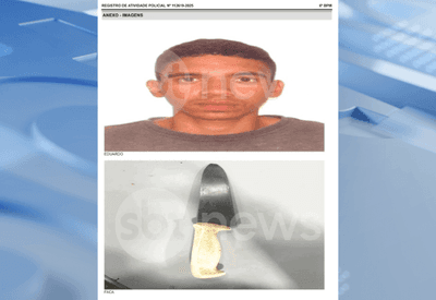 Homem que matou empresário com mais de 40 facadas no DF já havia tentado invadir o STF armado com faca