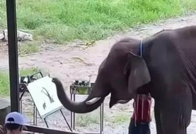 VÍDEO: Elefante pintor estressado briga com a manada e viraliza nas redes sociais