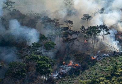 Em menos de 9 meses, queimadas na Amazônia já superam todo o ano de 2021