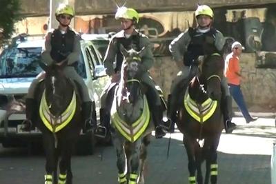 Em penúria financeira, polícia do RS decide leiloar cavalos e fechar canis