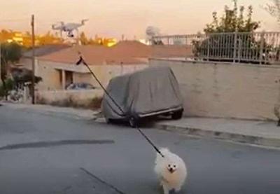 Em quarentena, homem usa drone para levar o cachorro para passear na rua