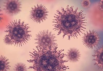 USP investiga ressurgimento de vírus que causa febre hemorrágica