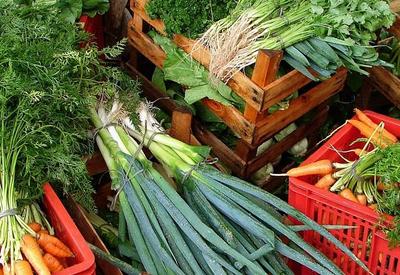 Governo Federal libera mais R$ 250 milhões para o Programa de Aquisição de Alimentos