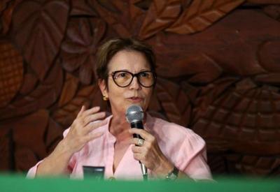 Deputados governistas voltam a sondar Tereza Cristina para presidente da Câmara