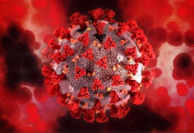 Variante Delta apresenta carga viral 300 vezes maior que vírus original