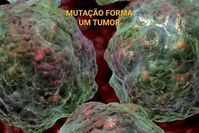 Estudo conclui que mutação aleatória de células provoca 66% dos casos de câncer