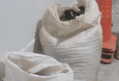 Quatro homens são presos por furto de café em fazenda no Sul de Minas