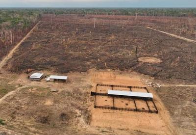 Polícia Federal bloqueia R$ 138 milhões de esquema suspeito de queimadas e desmatamentos na Amazônia