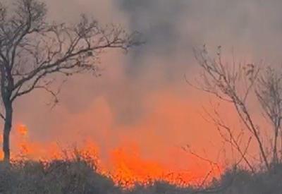 Incêndio de grandes proporções atinge vegetação em Jaguariúna (SP) 