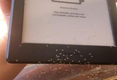 Formigas invadem Kindle e compram livro virtual pelo "touch"