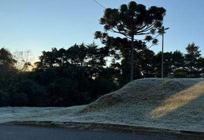 Curitiba tem temperatura negativa nesta quarta-feira (25)