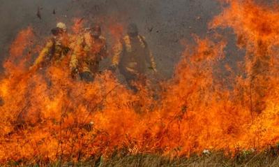 Comitiva de ministros planeja viagem para inspecionar combate a incêndios no Pantanal
