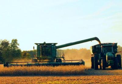 Produção de grãos deve crescer 2,5% e bater recorde em 2021, diz IBGE