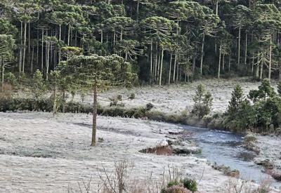 Santa Catarina tem neve, geada e 20 cidades com temperaturas negativas