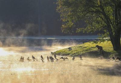 Onda de frio ‘congela’ o Paraná e termômetro marca 0°C