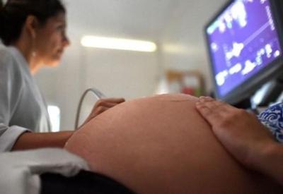 Dengue na gravidez pode ser até 4 vezes mais letal, alertam especialistas