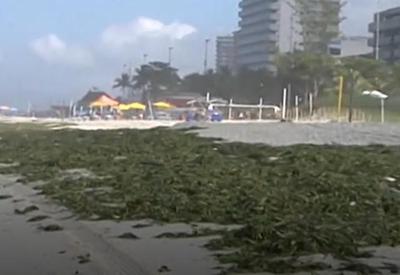 Retirada de gigogas continua em praia na Barra da Tijuca (RJ)