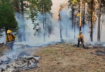 Após 4 dias, bombeiros começam a conter incêndio florestal na Califórnia