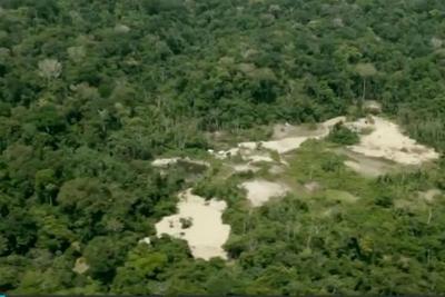 Governo decide revogar decreto que extingue reserva na Amazônia