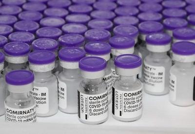 Lote com 1,9 milhão de doses da vacina da Pfizer desembarca no Brasil