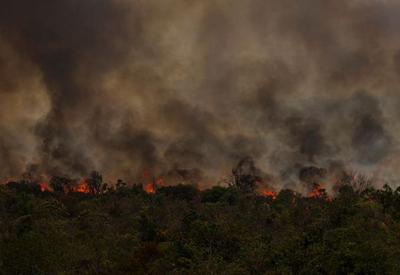 ‘Estamos muito atrasados no combate às mudanças climáticas’, alerta presidente do CNPq