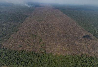 Desmatamento da Amazônia chega a 1.224 km² no mês de setembro
