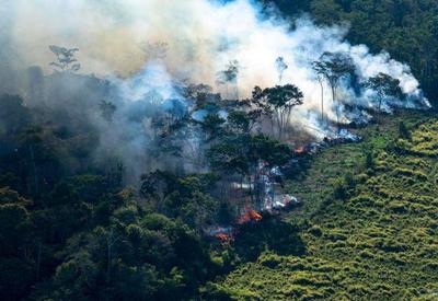 Amazônia: instituições propõem agenda para primeiros dias de futuro governo